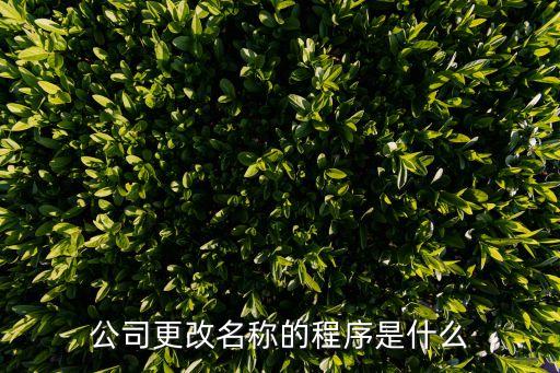 公司更改名稱的程序是什么
