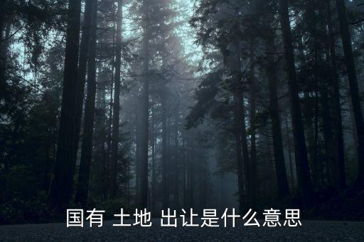  國有 土地 出讓是什么意思