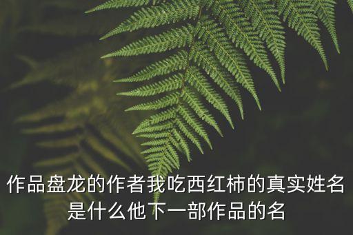 朱洪志，我吃西紅柿寸芒的作者真實姓名叫啥