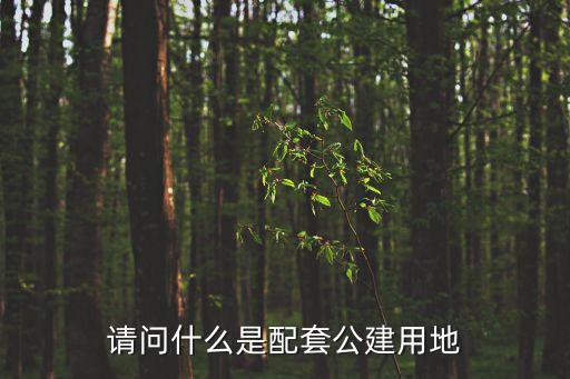 請(qǐng)問什么是配套公建用地