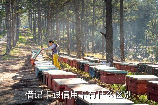 借記卡和信用卡，借記卡還是信用卡好