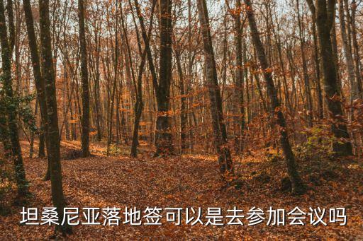 坦桑尼亞簽證,非洲坦桑尼亞簽證
