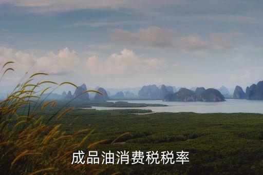成品油消費(fèi)稅稅率