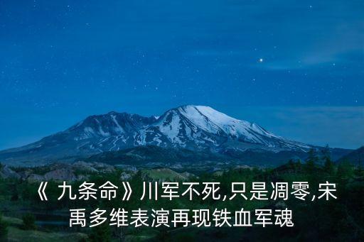 《 九條命》川軍不死,只是凋零,宋禹多維表演再現(xiàn)鐵血軍魂