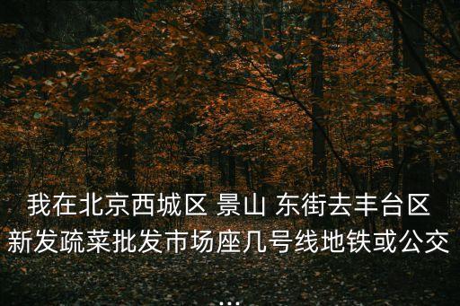 我在北京西城區(qū) 景山 東街去豐臺(tái)區(qū)新發(fā)疏菜批發(fā)市場(chǎng)座幾號(hào)線(xiàn)地鐵或公交...
