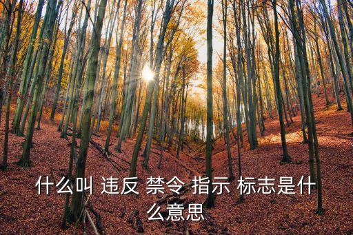 違反禁令標志指示什么意思,貨車違反禁令標志指示什么意思