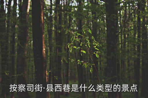 后宰門街,濟南后宰門街