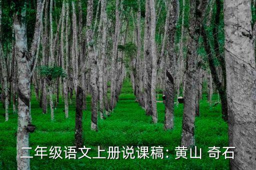 黃山奇石教學(xué)設(shè)計(jì)