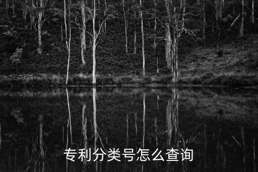 專利分類號(hào)怎么查詢