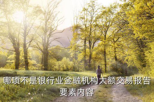 哪項不是銀行業(yè)金融機構(gòu)大額交易報告要素內(nèi)容
