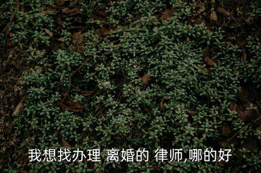 起訴離婚律師找個最好,起訴 離婚 流程