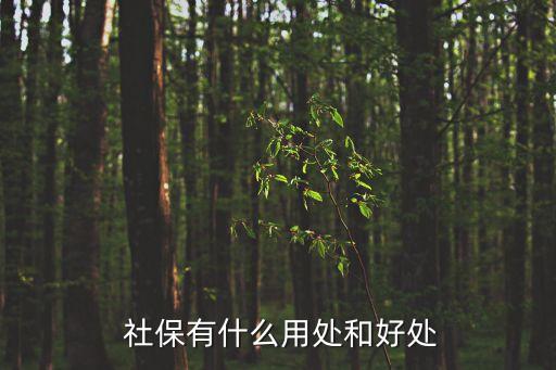  社保有什么用處和好處