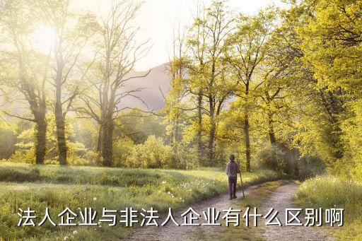 法人企業(yè)與非法人企業(yè)有什么區(qū)別啊