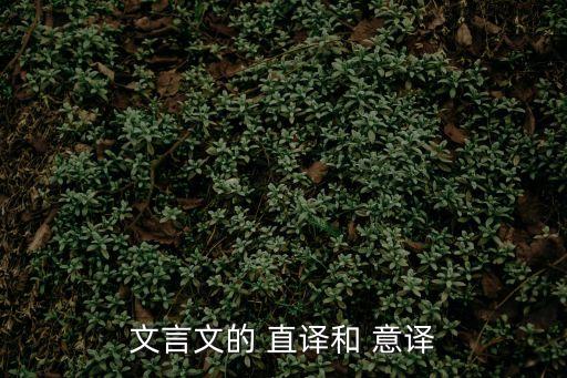 直譯和意譯翻譯舉例,除了直譯和意譯,還有哪些翻譯手法