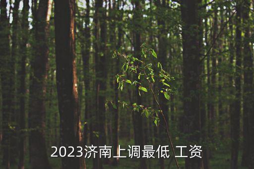 濟(jì)南市平均工資