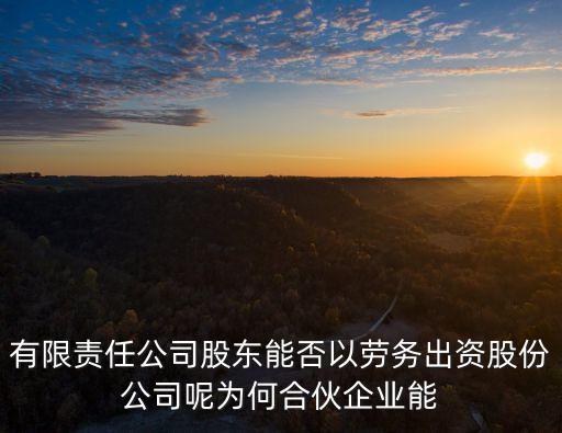 有限責任公司股東能否以勞務出資股份公司呢為何合伙企業(yè)能