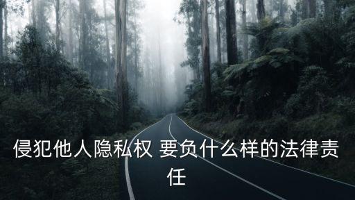 侵犯他人隱私權(quán) 要負(fù)什么樣的法律責(zé)任