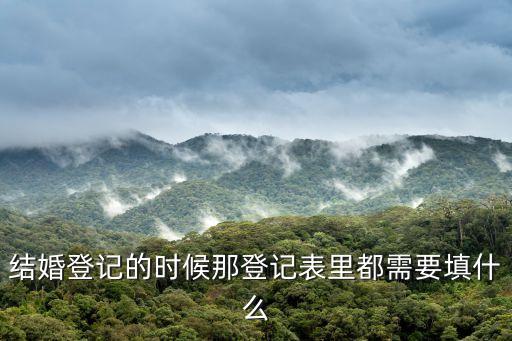 結(jié)婚登記表，結(jié)婚登記的時(shí)候那登記表里都需要填什么