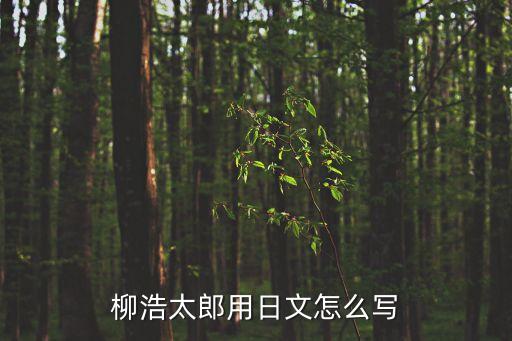 柳浩，情侶個性簽名一個帶柳一個帶浩