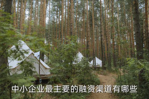 中小企業(yè)融資，中小企業(yè)有哪些有效的融資途徑可走的