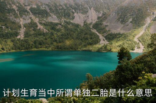 計劃生育當(dāng)中所謂單獨二胎是什么意思