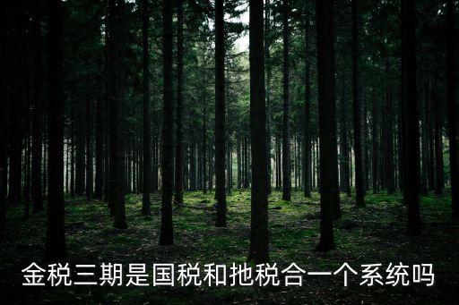 金稅三期是國(guó)稅和扡稅合一個(gè)系統(tǒng)嗎
