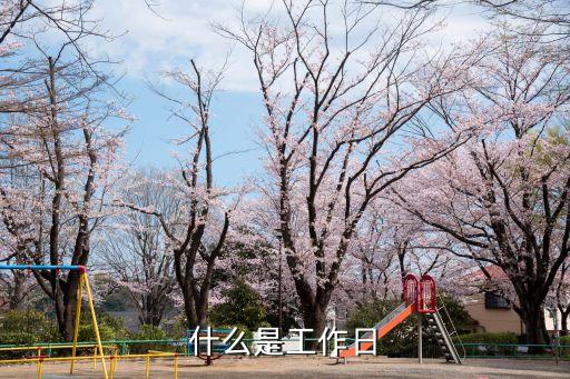 什么是工作日