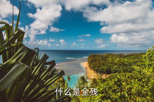 全殘的定義和標準，什么是全殘
