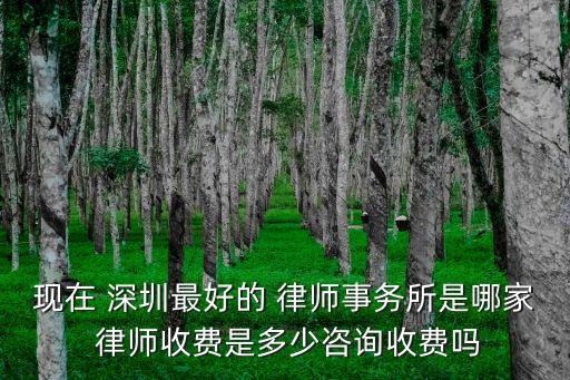 現(xiàn)在 深圳最好的 律師事務(wù)所是哪家 律師收費是多少咨詢收費嗎
