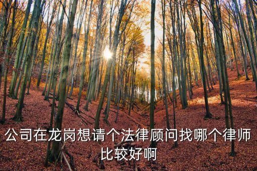 公司在龍崗想請個法律顧問找哪個律師比較好啊