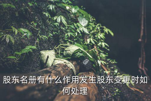股東名冊有什么作用發(fā)生股東變更時如何處理
