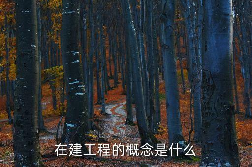 在建工程，在建工程的概念是什么