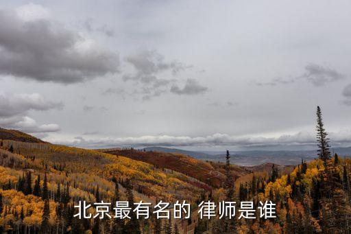 北京最有名的 律師是誰(shuí)