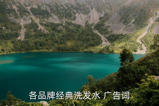 飄柔廣告詞,80年代飄柔廣告詞