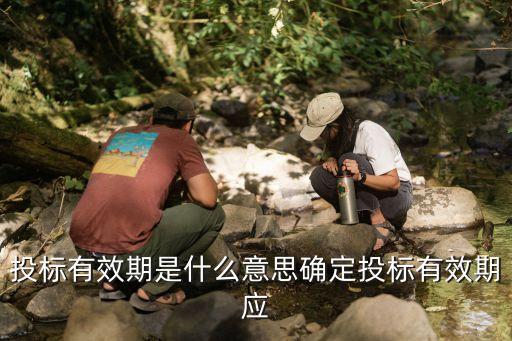 投標(biāo)有效期，投標(biāo)有效期是什么意思確定投標(biāo)有效期應(yīng)