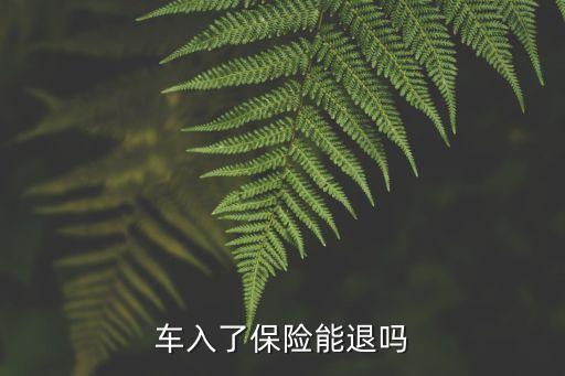 車入了保險能退嗎