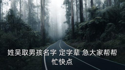 姓吳取男孩名字 定字輩 急大家?guī)蛶兔禳c(diǎn)