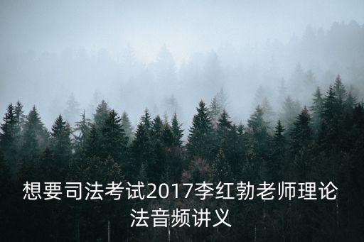 想要司法考試2017李紅勃老師理論法音頻講義