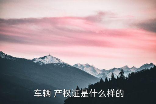 車輛產(chǎn)權證,上海補辦車輛產(chǎn)權證