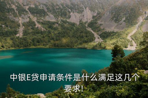 中銀e貸,申請中銀e貸需要什么條件