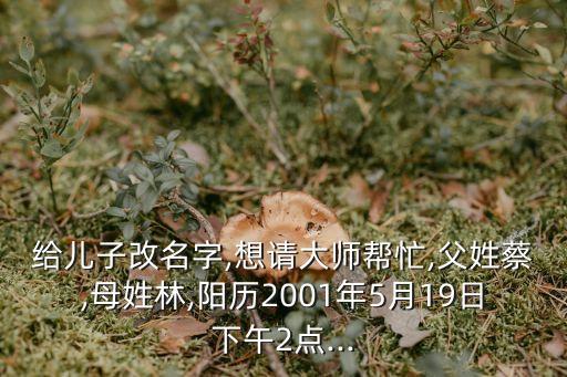 蔡文明