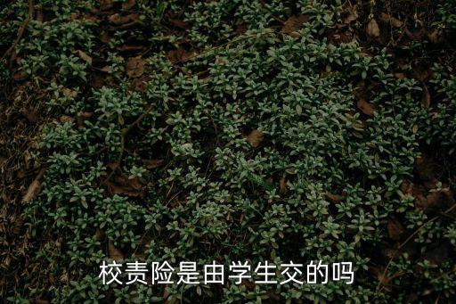 校責(zé)險(xiǎn)是由學(xué)生交的嗎