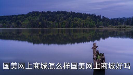 國美網(wǎng)上商城怎么樣國美網(wǎng)上商城好嗎