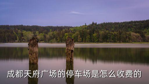 成都天府廣場的停車場是怎么收費的