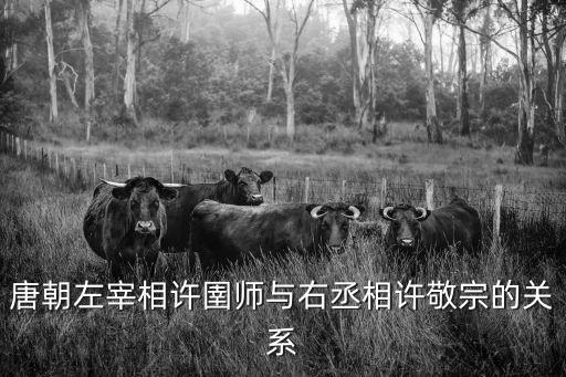 許琳