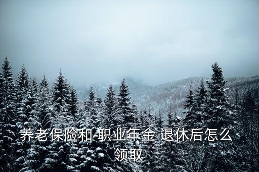 養(yǎng)老保險和 職業(yè)年金 退休后怎么 領取