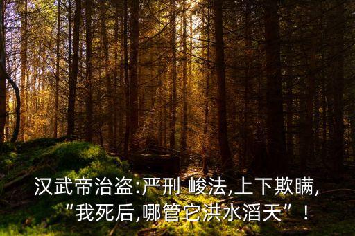 峻法,朱元璋在晚年意識,自己的嚴刑峻法