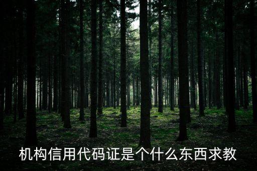 信用機構代碼證，機構信用代碼證是個什么東西求教