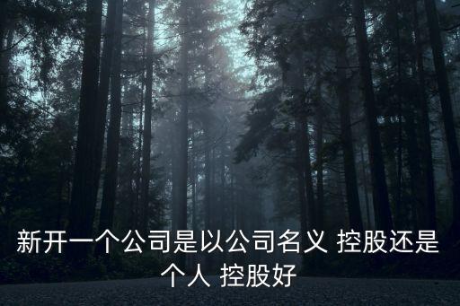 新開一個公司是以公司名義 控股還是個人 控股好