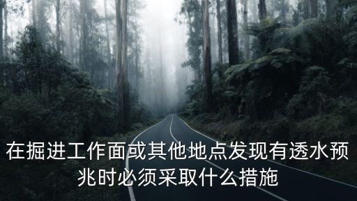 在掘進(jìn)工作面或其他地點(diǎn)發(fā)現(xiàn)有透水預(yù)兆時(shí)必須采取什么措施